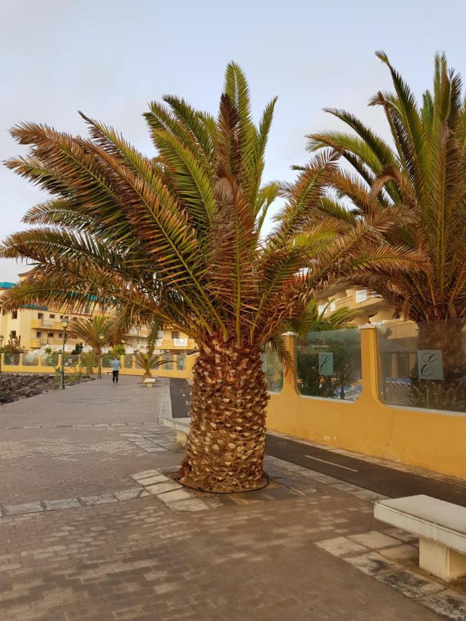 Casa Mia Apartment Калета де Фусте Екстериор снимка